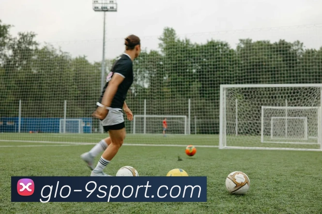 九游体育官网平台生态图