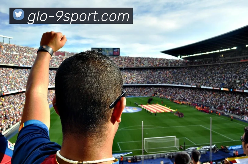 九游体育官网APP 封面图